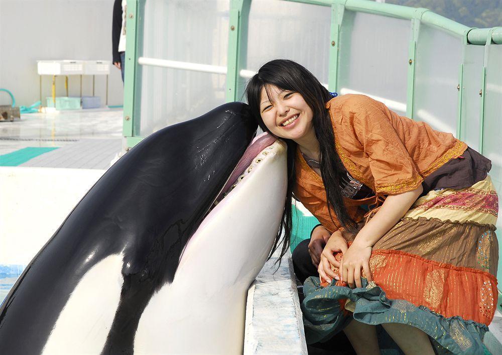 Kamogawa Sea World Hotel Exteriér fotografie