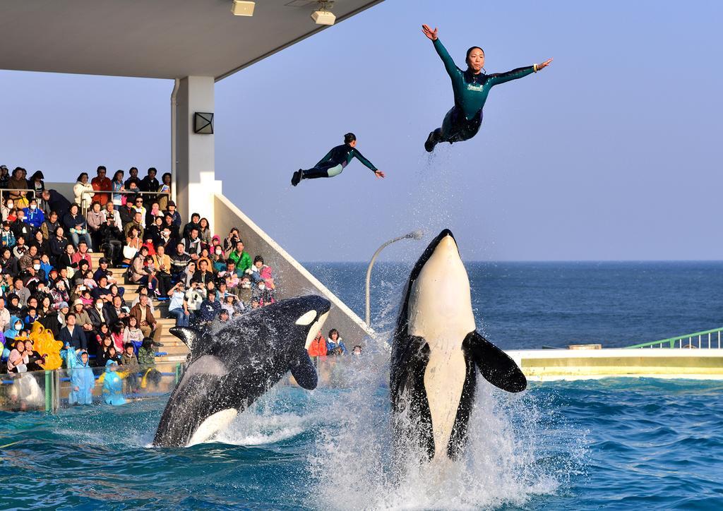 Kamogawa Sea World Hotel Exteriér fotografie