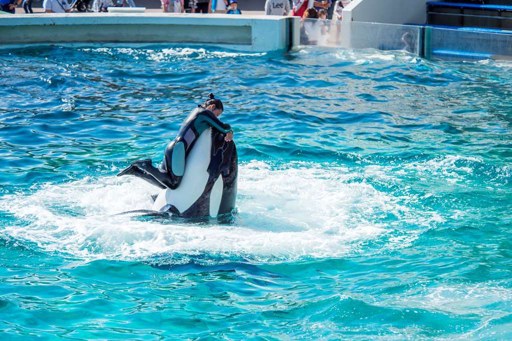 Kamogawa Sea World Hotel Zařízení fotografie
