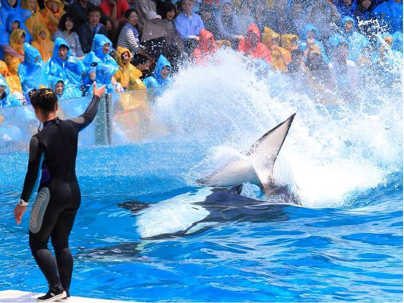 Kamogawa Sea World Hotel Zařízení fotografie